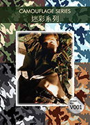 V001樣品本