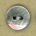 2孔貝殼釦-珠母貝-厚1.8MM
