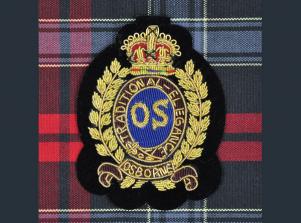 OT936印度絲手縫刺繡徽章WIRE EMBLEM